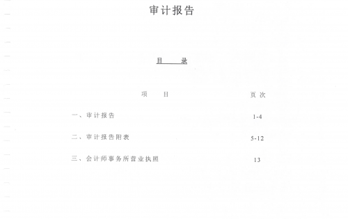 中国下一代教育基金会“少年硅谷”公益项目审计报告               
